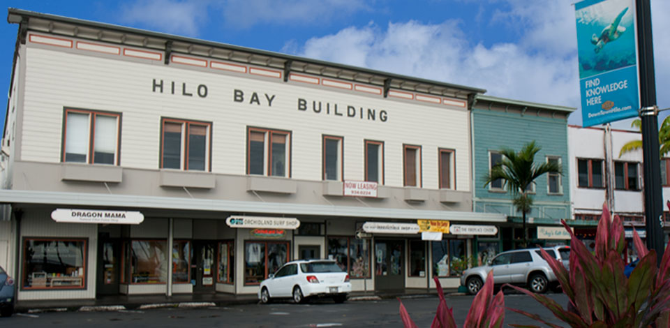 Hilo Bay Building